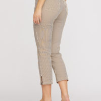 Charlotte Zip Regular Crop Pant bronze back