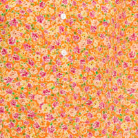 Harriet Shirt fabric