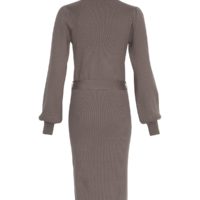 Philina Like Dress item back