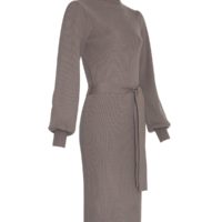 Philina Like Dress item side