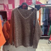 Brown V-Neck Knit