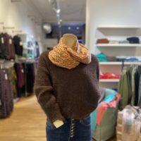 Brown V-Neck Knit