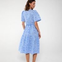 Caisa Blue Print Dress back