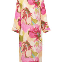 Carla Sienna Dress back