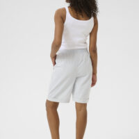 KAnaya Blue Striped Shorts back